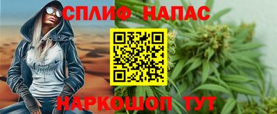 Альфа ПВП Новозыбков
