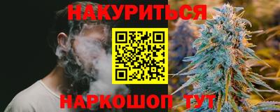 Альфа ПВП Новозыбков