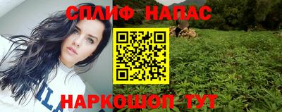 Альфа ПВП Новозыбков