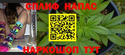ECSTASY Новодвинск
