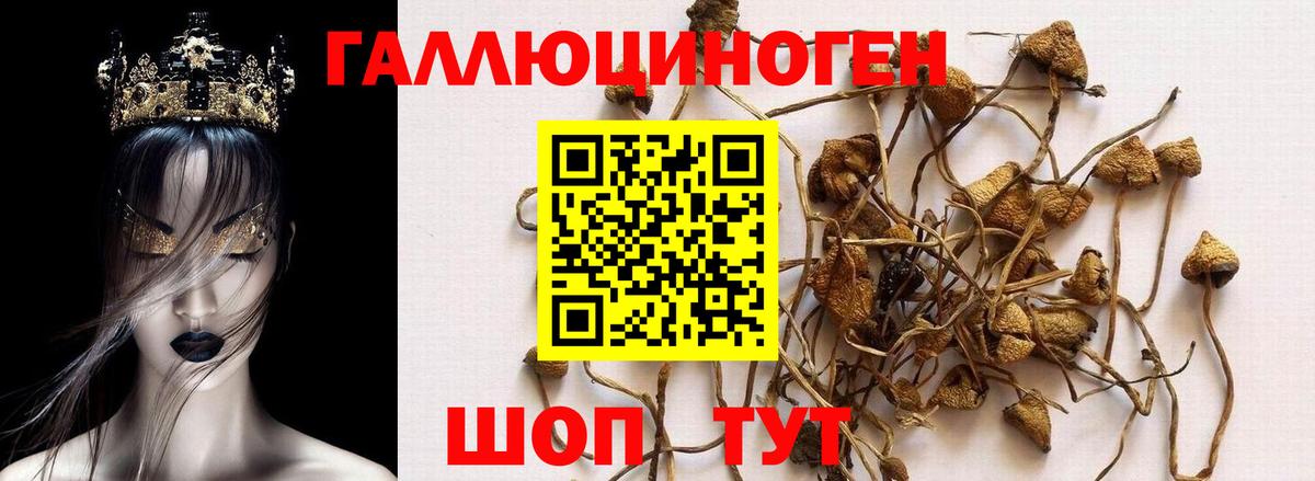 Псилоцибиновые грибы MAGIC MUSHROOMS Шахты
