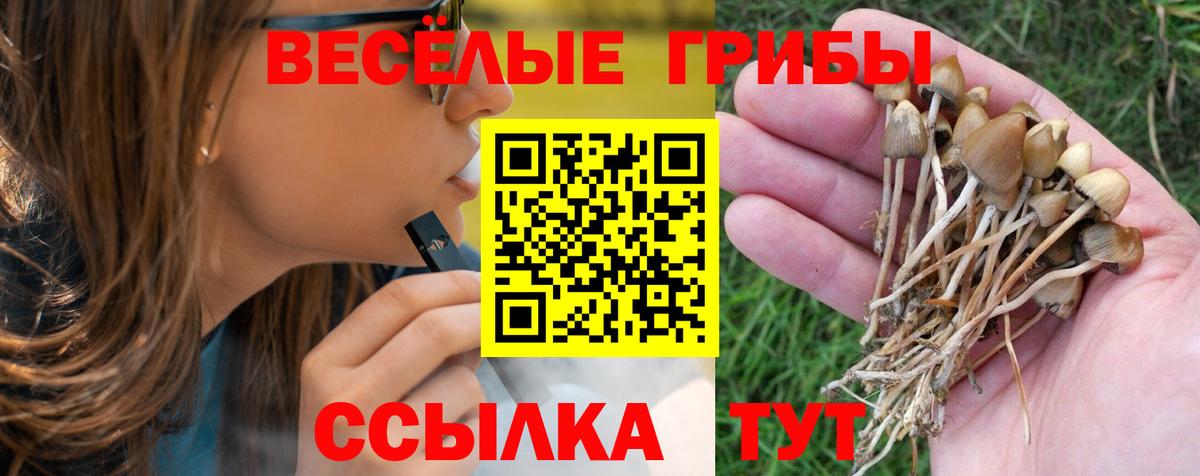 Псилоцибиновые грибы мухоморы  Вход с VPN  Шахты  Галлюциногенные грибы GOLDEN TEACHER 